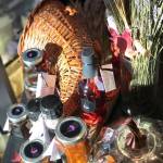 Growth necessitates move for Pelindaba Lavender