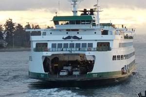 WSF puts whiskers on the water this month