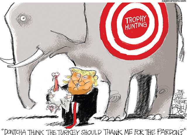 Trump’s 43rd week in office | In cartoons