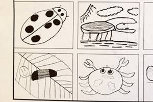 Ometepe calendars go on sale