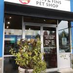 Paws & Fins celebrates 20 years by moving to a larger location