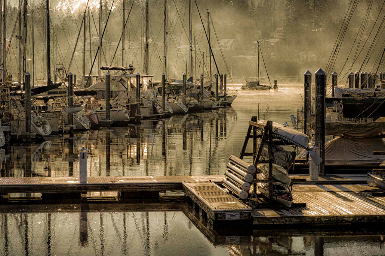 Law of the lens: Bainbridge photog to unveil gallery of work by his wandering eye