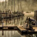 Law of the lens: Bainbridge photog to unveil gallery of work by his wandering eye
