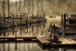 Law of the lens: Bainbridge photog to unveil gallery of work by his wandering eye