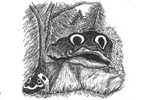 This week with Bainbridge Island sketch artist Bill Hemp