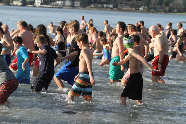 Bainbridge Island 2018 polar bear plunge | Photo gallery