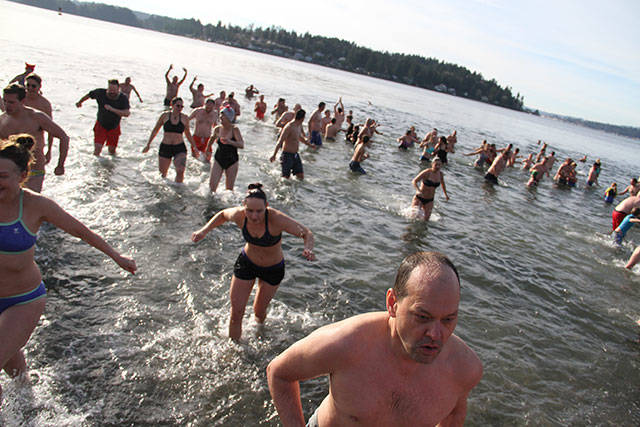Bainbridge Island 2018 polar bear plunge | Photo gallery