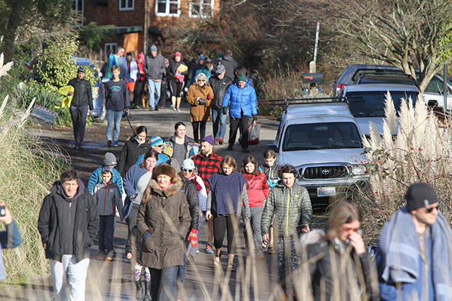 Bainbridge Island 2018 polar bear plunge | Photo gallery