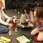 A doggone good read | Photo of the day 1.2