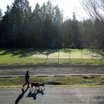 Enjoying it while it lasts | Photo of the day 1.3