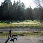 Enjoying it while it lasts | Photo of the day 1.3