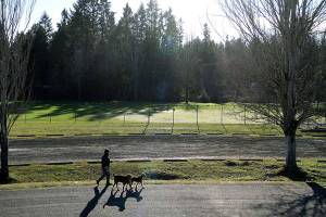 Enjoying it while it lasts | Photo of the day 1.3