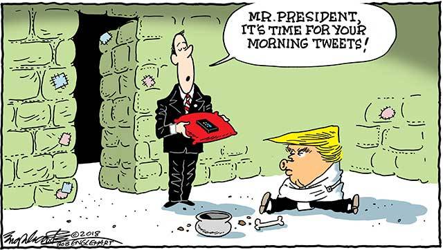 Trump’s 50th week in office | In cartoons