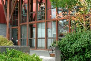 Bainbridge council approves six-month ban on development