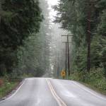 Six-foot-wide shoulders will be installed along a stretch of Miller Road to improve safety for bicyclists.