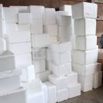 Cooler heads prevail | Photo of the day 1.21