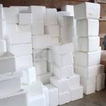 Cooler heads prevail | Photo of the day 1.21