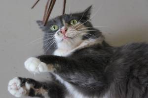 Mesmerized | Photo of the day 1.22