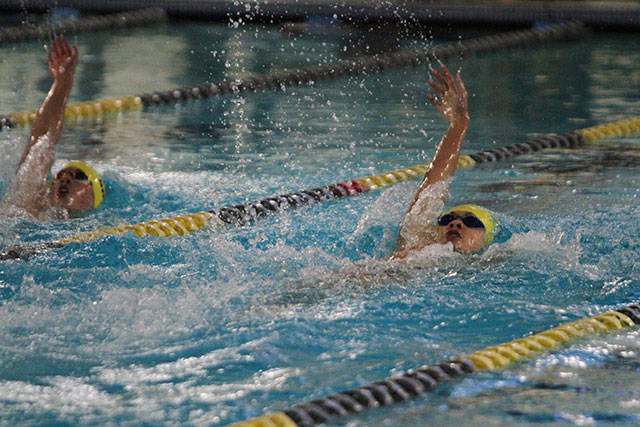 Senior Night for Spartan swimmers | Photo gallery