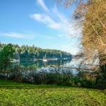 The 4.8-acre Williams-Olson Park is located on the waterfront at the end of Williams Lane, off Koura Road. (Photo courtesy of the Bainbridge Island Park Foundation)