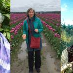 Courtesy photos | Winner of the 2018 Island Treasure Award Nancy Rekow, Bainbridge Islands inaugural Cultural Champion Award recipient Sallie Maron, and 2018 Island Treasure Awardee John Ellis, as Sir John Falstaff in a recent Bainbridge Performing Arts production.