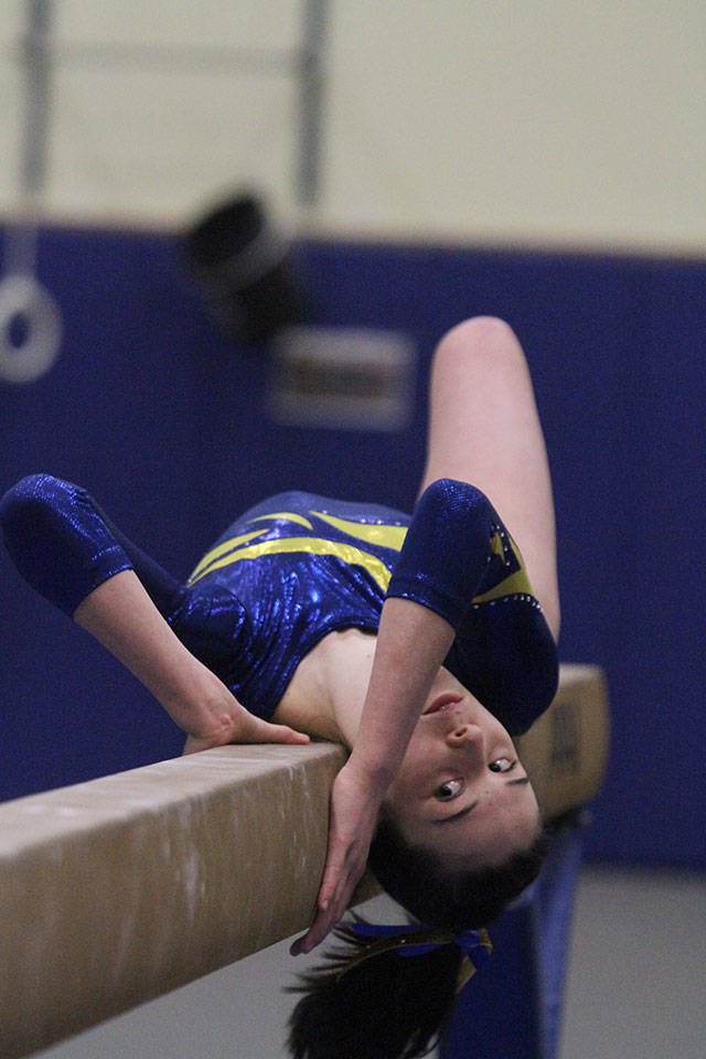 Senior Night for Spartan gymnasts | Photo gallery