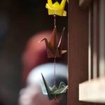 Volunteer day at Bainbridge memorial