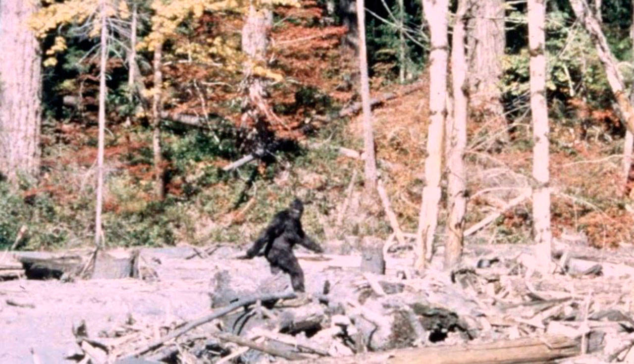 Bigfoot eludes state recognition yet again | 2018 Legislative Session