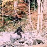 Bigfoot eludes state recognition yet again | 2018 Legislative Session