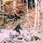 Bigfoot eludes state recognition yet again | 2018 Legislative Session
