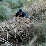 Feel the rush | Photo of the day 2.19