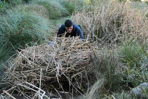 Feel the rush | Photo of the day 2.19