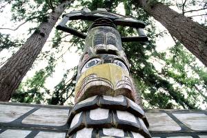 Spread your wings | Photo of the day 2.2o