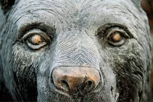 The rare ice bear of Bainbridge | Photo of the day 2.21