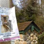 MIA: Missing In Adorableness | Photo of the day 2.24