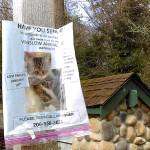 MIA: Missing In Adorableness | Photo of the day 2.24