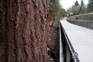 Trail to tomorrow | Photo of the day 2.27