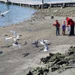 Time flies (and so do we!) | Photo of the day 3.15