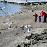 Time flies (and so do we!) | Photo of the day 3.15