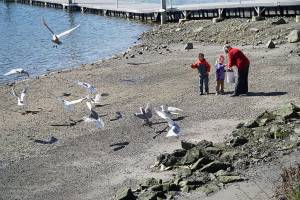 Time flies (and so do we!) | Photo of the day 3.15