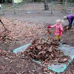 Spring cleaning | Photo of the day 3.25