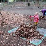 Spring cleaning | Photo of the day 3.25