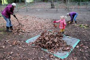 Spring cleaning | Photo of the day 3.25