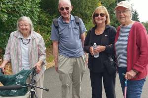 IVC: So many ways it helps | Guest Viewpoint