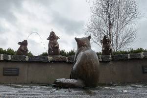 Three little squirts | Photo of the day 4.1