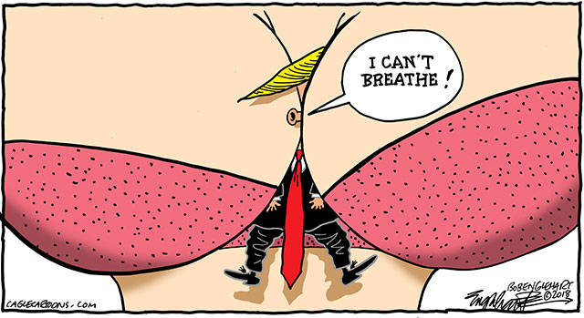 Trump’s 63rd week in office | In cartoons