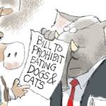 Today’s cartoon for Sunday, April 29