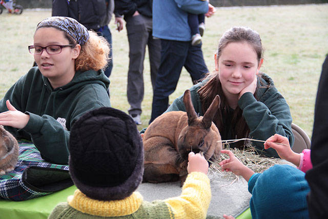 ICYMI: mEGGa Hunt 2018 | Photo gallery