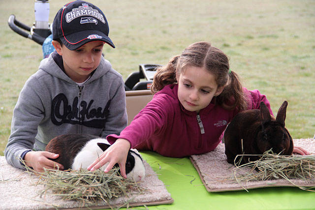 ICYMI: mEGGa Hunt 2018 | Photo gallery