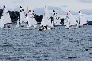 Sailing team splits for races